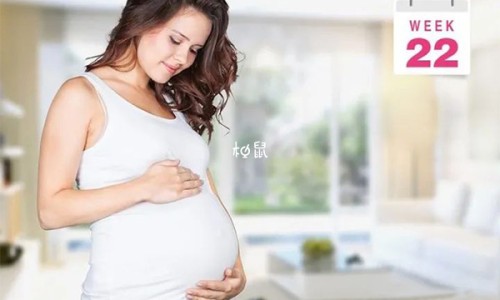 狗狗国产疫苗和进口疫苗区别网-分享狗狗国产疫苗和进口疫苗区别在哪，狗狗疫苗国产和进口哪个好知识库