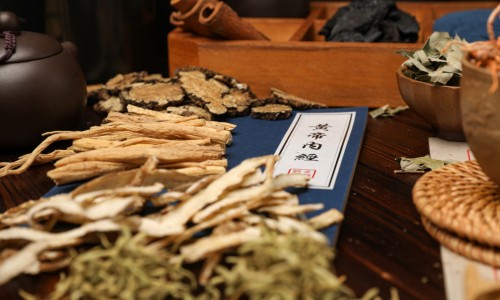 国产狗疫苗有效果吗-狗狗国产疫苗和进口疫苗区别网-分享狗狗国产疫苗和进口疫苗区别在哪，狗狗疫苗国产和进口哪个好知识库
